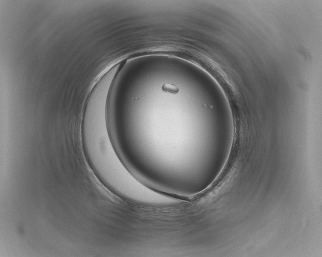 X0000116291417200911301409