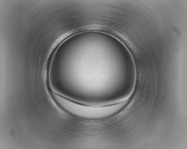 X0000116291418200911301409