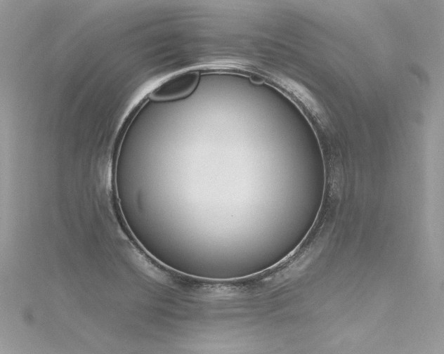 X0000116291420200911301409