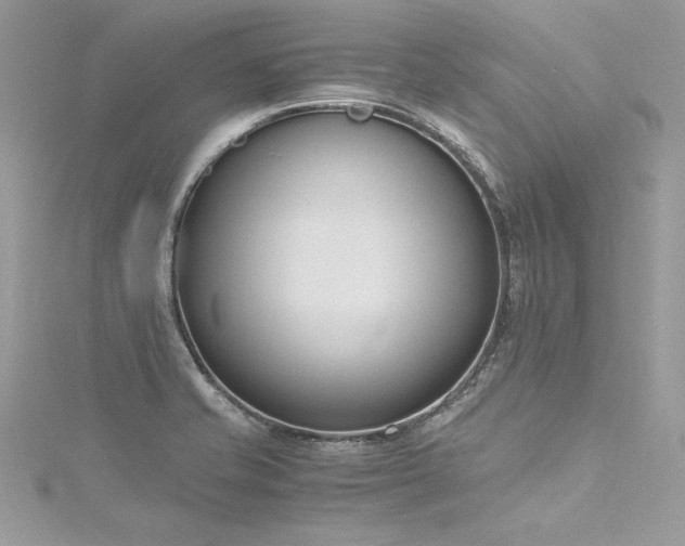 X0000116291421200911301409