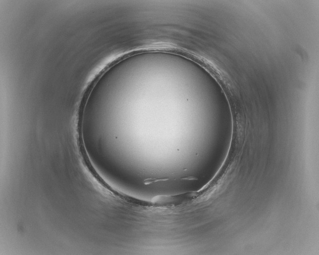 X0000116291422200911301409