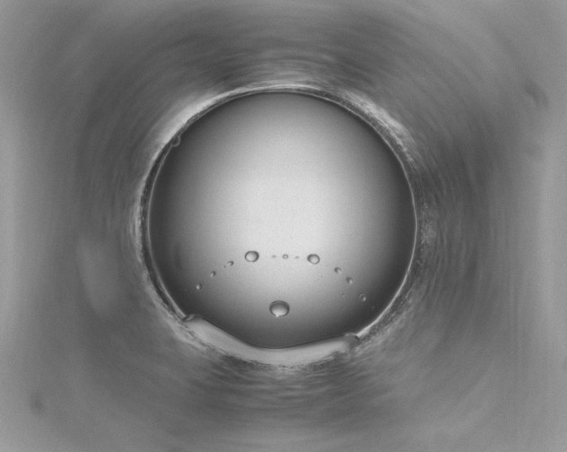 X0000116291423200911301409