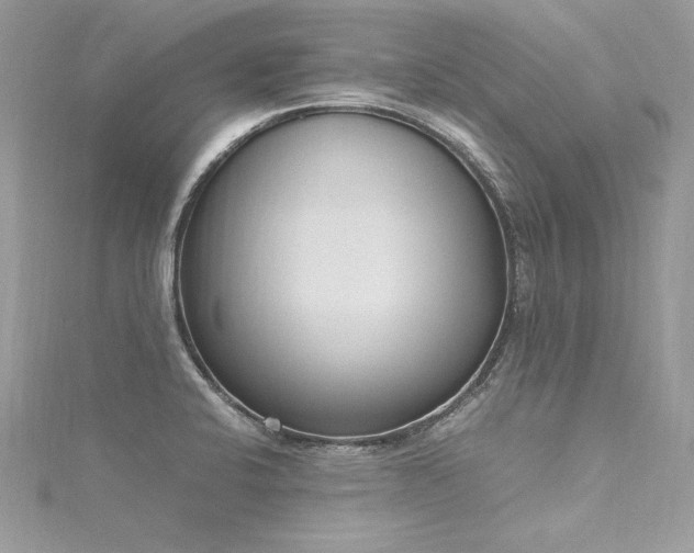 X0000116291424200911301409