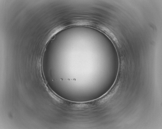 X0000116291425200911301410