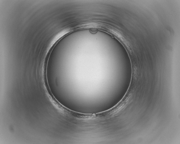 X0000116291426200911301410