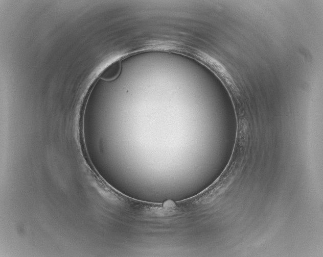 X0000116291427200911301410