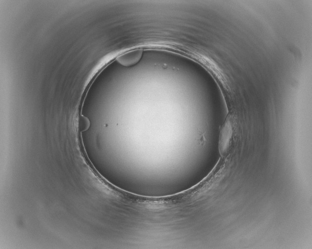 X0000116291428200911301410