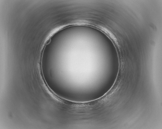 X0000116291429200911301410