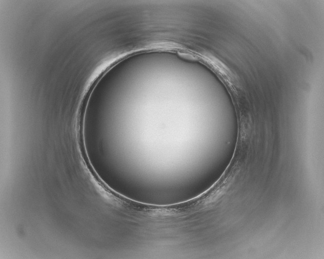 X0000116291430200911301410