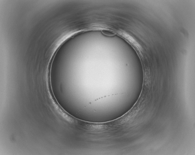 X0000116291431200911301410