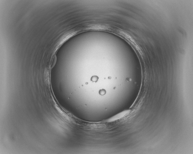 X0000116291433200911301410