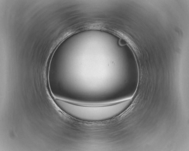 X0000116291434200911301410