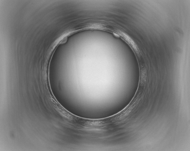 X0000116291435200911301410