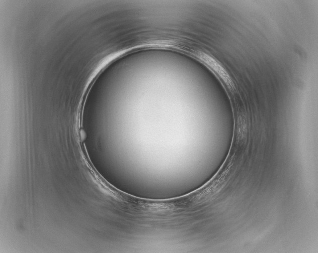 X0000116291436200911301410