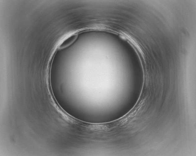 X0000116291437200911301410