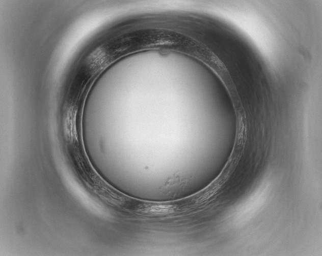 X0000116291439200911301410