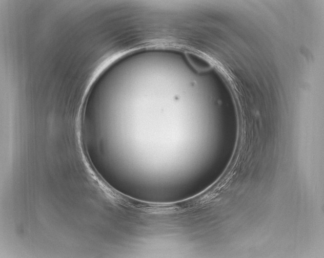 X0000116291440200911301410