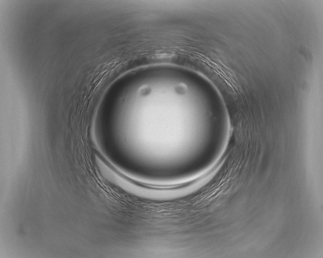 X0000116291441200911301409