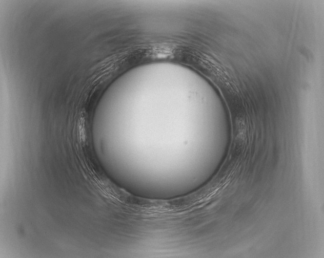 X0000116291442200911301409