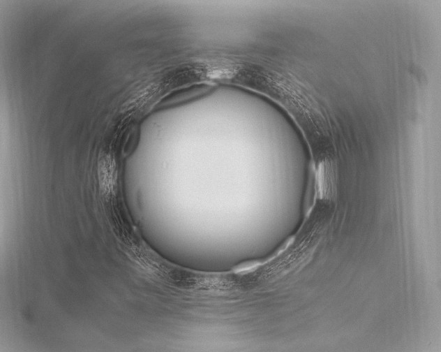 X0000116291443200911301409