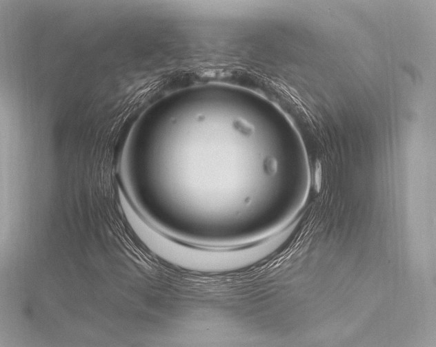 X0000116291444200911301409