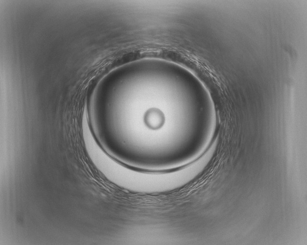 X0000116291445200911301409