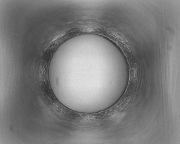 X0000116291446200911301409