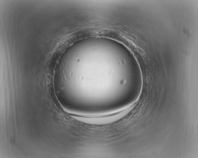 X0000116291447200911301409