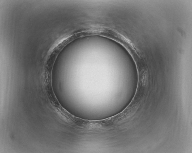 X0000116291448200911301409