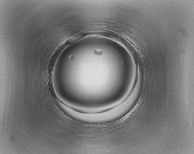 X0000116291449200911301409