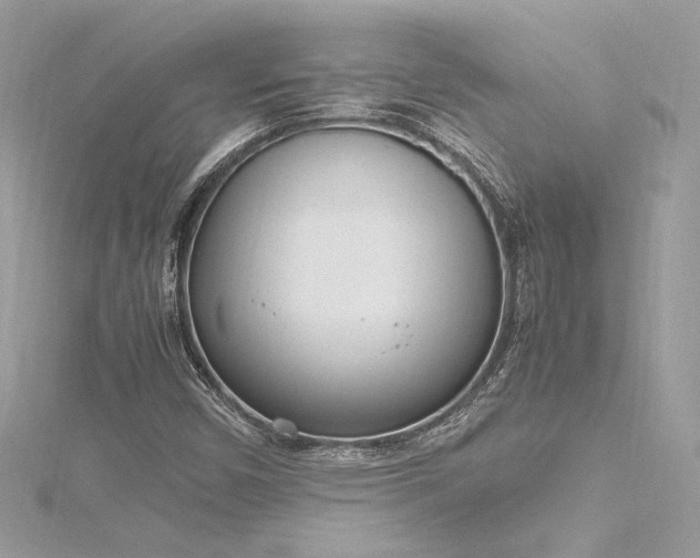 X0000116291450200911301409