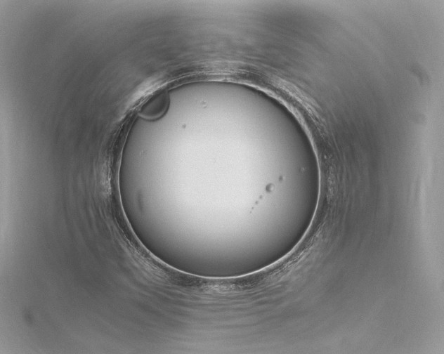 X0000116291451200911301409