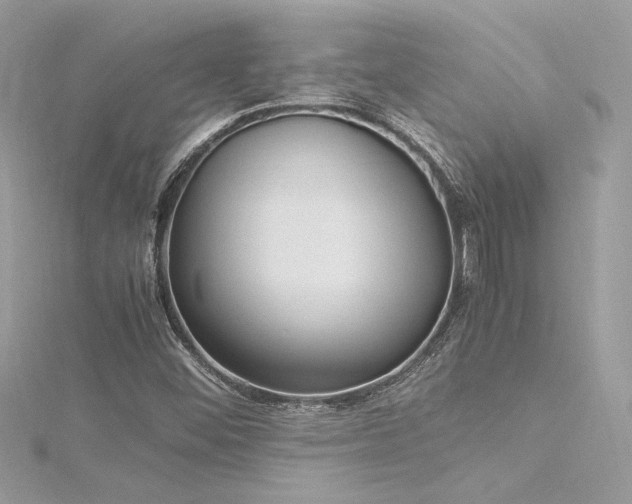 X0000116291452200911301409