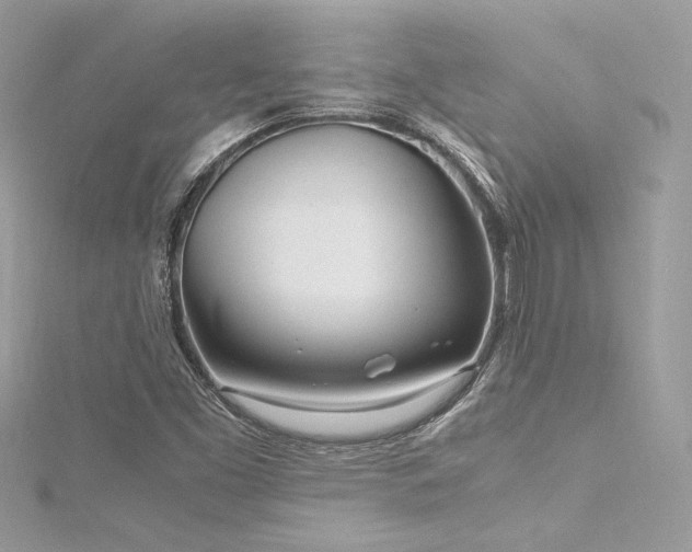 X0000116291453200911301409