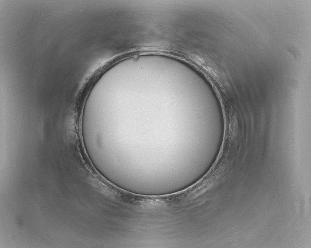 X0000116291454200911301409