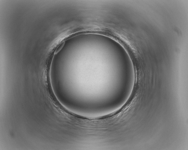 X0000116291455200911301409