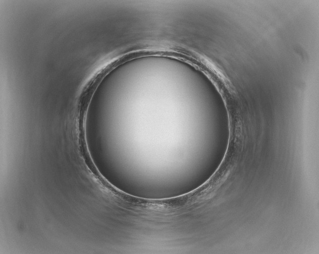 X0000116291456200911301409