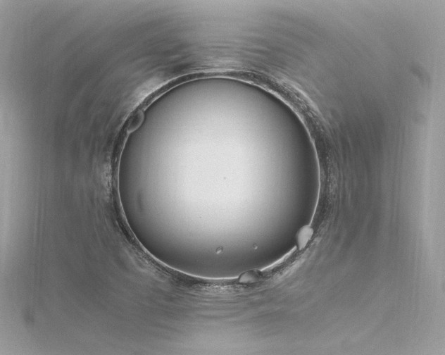 X0000116291457200911301409