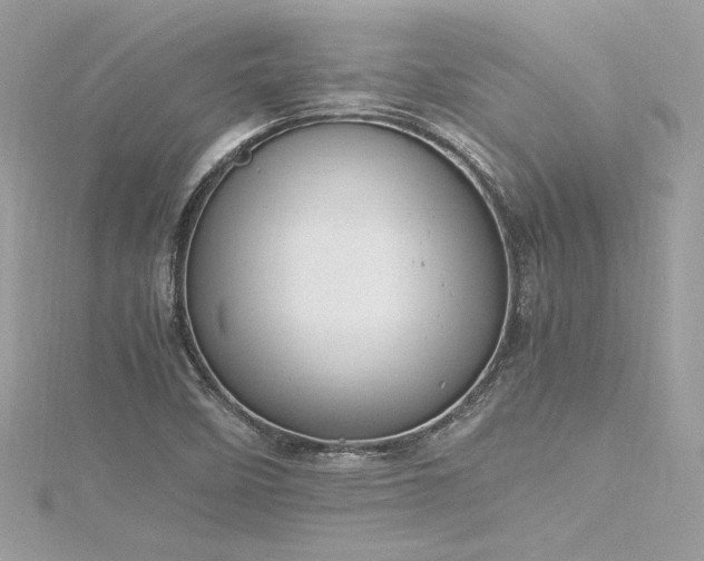 X0000116291458200911301409