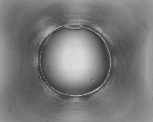 X0000116291459200911301409