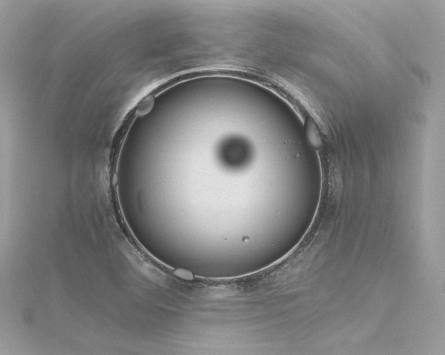 X0000116291460200911301409