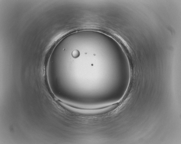 X0000116291461200911301409