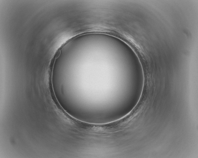 X0000116291463200911301409