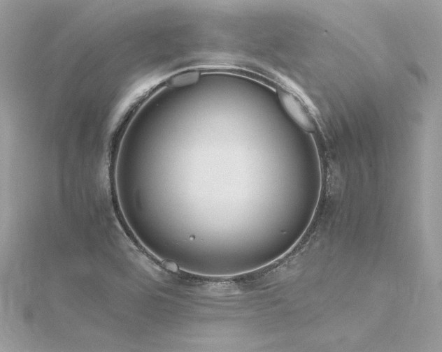 X0000116291464200911301409