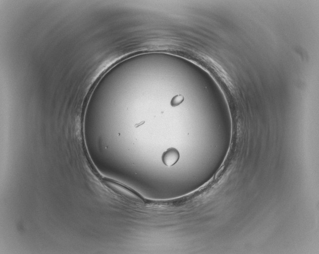 X0000116291465200911301409