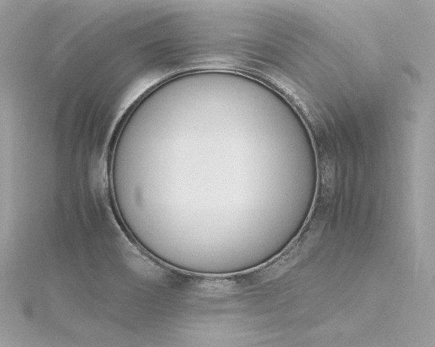 X0000116291466200911301409