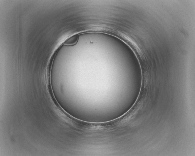 X0000116291467200911301409