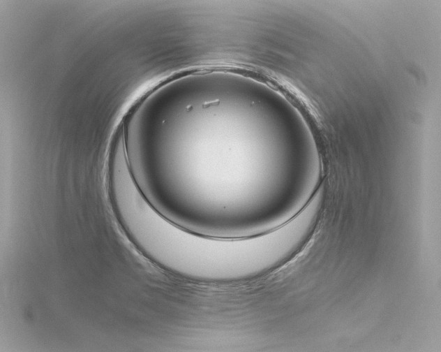 X0000116291469200911301409