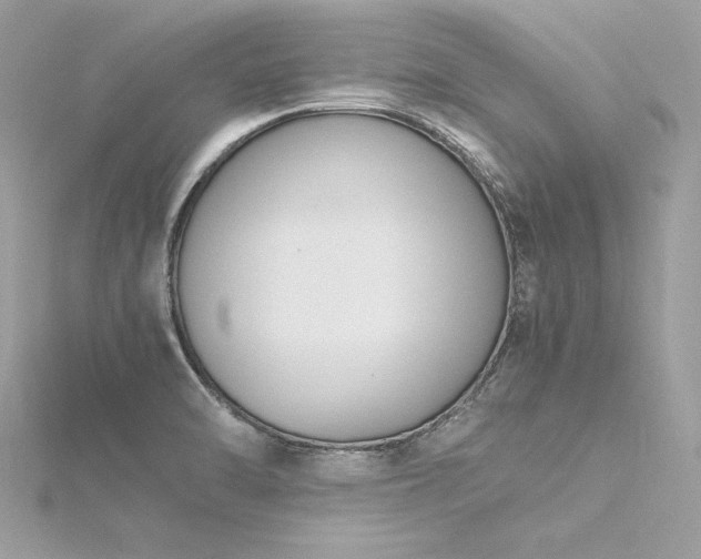 X0000116291470200911301409