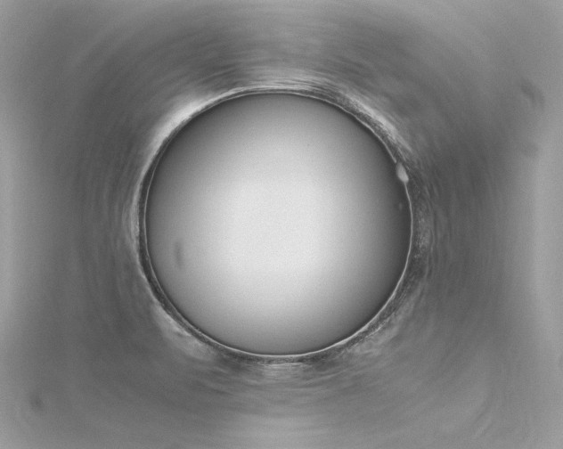 X0000116291471200911301409